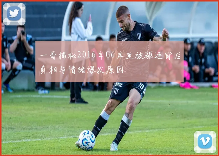一哥揭秘2016年G6库里被驱逐背后真相与情绪爆发原因