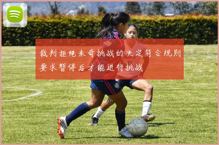 裁判拒绝米奇挑战的决定符合规则要求暂停后才能进行挑战